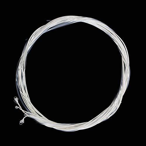 Lot de 6 cordes de guitare en nylon Corrosion légère Phosphor Bronze Guitar Acoustique Guitar Strings pour cadeau - Les Beatles, Paul McCartney, John Lennon, RIngo Starr, George Harrison Lot de 6 cordes de guitare en nylon Corrosion légère Phosphor Bronze Guitar Acoustique Guitar Strings pour cadeau – Image 7