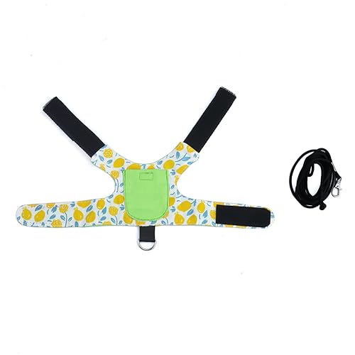 Image of Bearded Dragon Tracker - GPS Monitor Collar and Harness with Air Tag Pouch for Reptiles