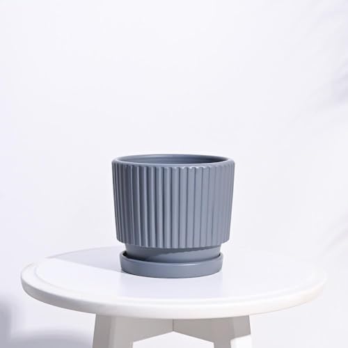 Image of UGAOO Roma Ceramic Pot |Indoor Ceramic Planter for Home, Office, Garden, Balcony - Gray (5 Inch)