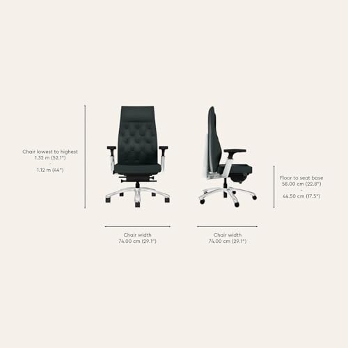 Image of Interio by Godrej Posture Perfect High Back Leather Executive Ergonomic Revolving Chair, 1 Year Warranty, Adjustable Armrest and Height (Black)