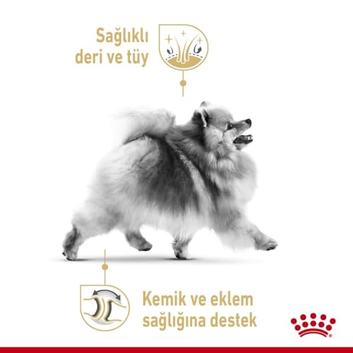 Royal Canin Pomeranian Adult | 1,5 kg | Alleinfuttermittel für Hunde | Trockenfutter für ausgewachsene und ältere Zwergspitze | Ab dem 8. Monat | Angepassten Mineralstoffgehalt