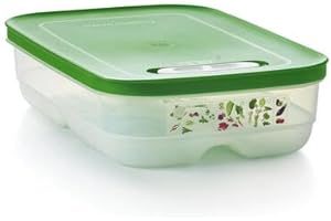 Tupperware Fridgesmart Medium Container, Sheer with Wintergreen Seal