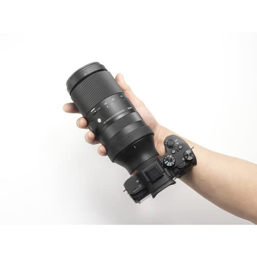 Amazon.com: Sigma 100-400mm f/5-6.3 DG DN OS Lente contemporánea
