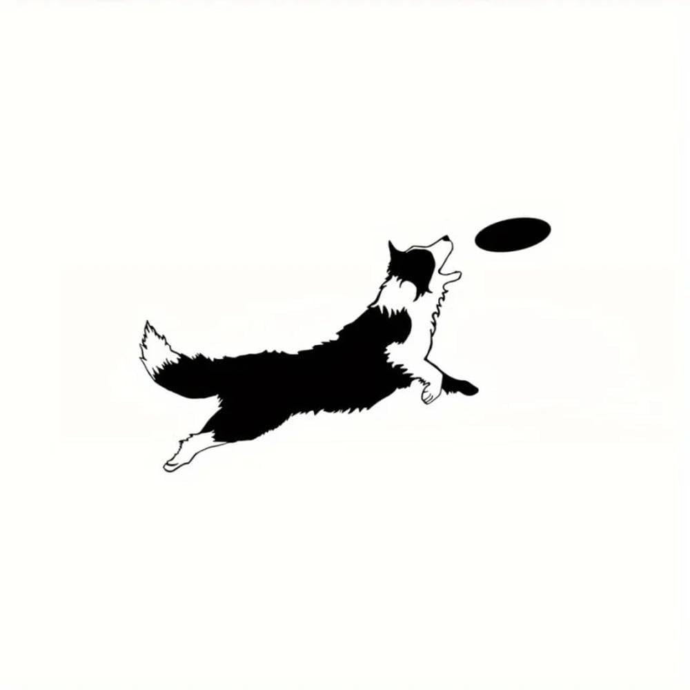 Border Collie Catching Disc Matte Vinyl Decal Sticker for Vehicles Laptops Water Bottles Walls