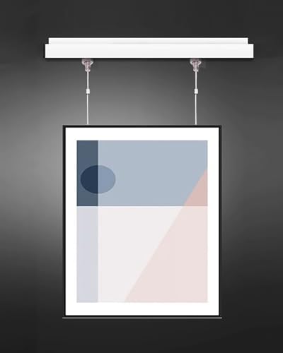 ピクチャーレール ローラー付き壁掛け用絵画吊り下げレール、 ギャラリー用アート作品展示用ハンガー、 絵画展示用額縁用アルミ製スライドレール(2m/6.6' Cable,120cm/47.2" Track)