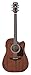 Ibanez AW54CE Artwood Traditional Acoustic-Electric Guitar - Open Pore Natural Bundle with Gig Bag, Strap, D'Addario Strings, Picks, Austin Bazaar Instructional DVD, and Polishing Cloth