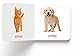 My First Book of Baby Animals