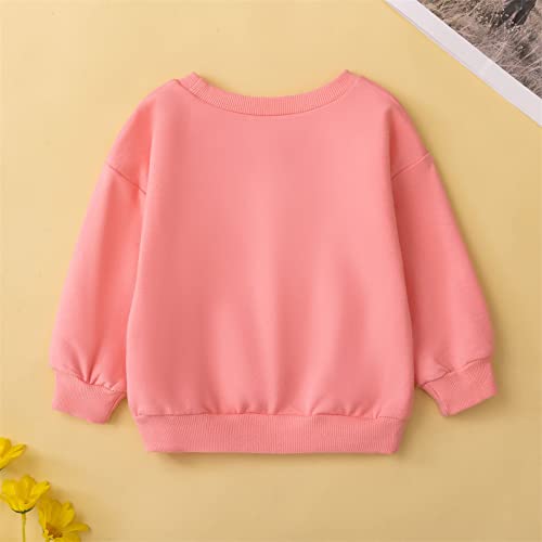 Cute Print Solid Pullovers for Girls Lightweight Long Sleeve Crewneck Tops Toddler Casual Ribbed Trim Sweatshirts3