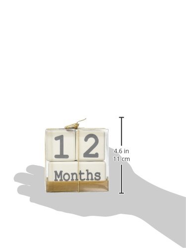 Mud Pie Milestone Blocks, White/Blue