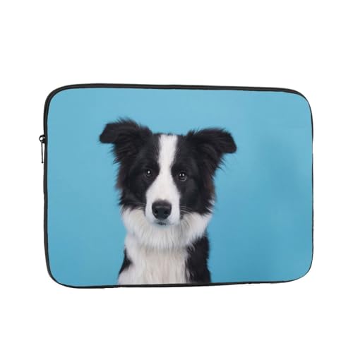 p\RP[X X[u m[gp\Rp̃obO {[_[ R[ vg ϏՌH m[gp\R P[X ʋ ʊw s o Vv ʋ ʊw rWlX  킢 y 12 Inch