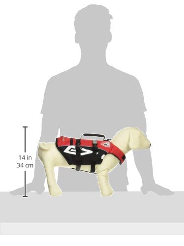 Amazon | EZYDOG(イージードッグ) [正規代理店品] DFDマイクロ レッド