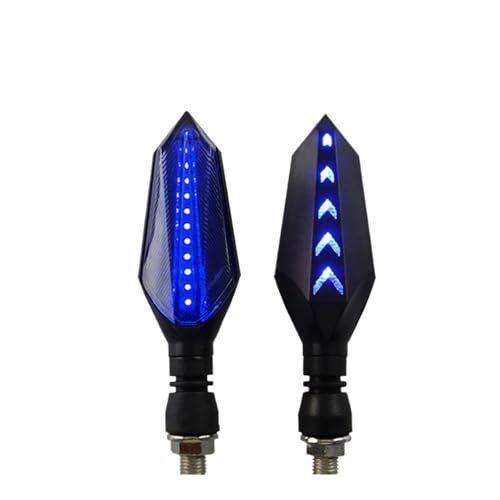 Clignotants LED 12V pour remplacer les feux de Monster 795