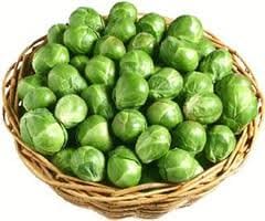 Brussel Sprouts Long Island Improved Great Heirloom Vegetable By Seed Kingdom Bulk 1 Lb Seeds