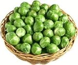 Brussel Sprouts Long Island Improved Great Heirloom Vegetable by Seed Kingdom Bulk 20,000 Seeds