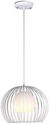 Diolumia Metal Pendant lamp, Modern Style E27 Hanging Light, Wire Ceiling Light with Bowl Shaped lampshade