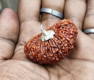 21 mukhi rudraksha Original & Natural | 21 मुखी रुद्राक्ष | Certified Nepali Rudraksh Bead for Meditation, Spiritual Practices & Lord Kubera Blessings | Pendant for Men & Women-picture-16