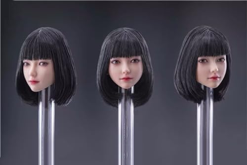 1/6}fBᓪf12C`̏ANVl`ɓKĂ (A)