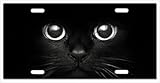 Black Cat Eyes Vanity License Plate