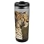 Wild Animal Leopard