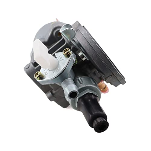 MCHNIC Vergaser mit Luftfilter Benzinfilter Satz für 2 Takt 47cc 49cc Mini Motorrad ATV Quad Dirtbike Pocketbike Buggy Go Kart