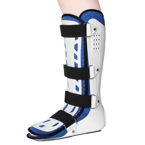 SFKLYU ؖԑ T|[gu[X   AFO u[X   ̉ P  ؖ  T|[g ALXF,B left,L