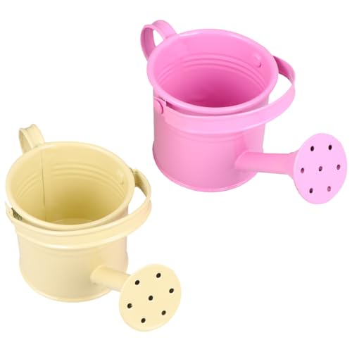 Bouilloire d'arrosage décorative Totority de 15 cm en fer avec long bec verseur de précision - 6