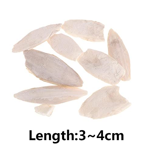 Zonster 1 Bag Cuttlebone Tintenfisch Sepia Knochen Tuppoly Fish Bird Food Calcium Pickstone Papagei Vögel Zähne Schleiftraining