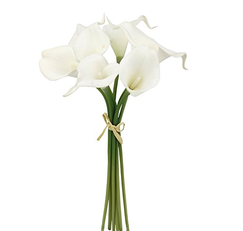 Angel Isabella Calla Lily Set 20pc