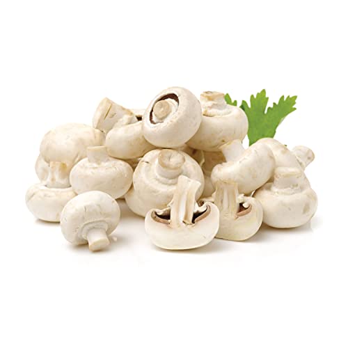 Mushroom Oman 250 grams