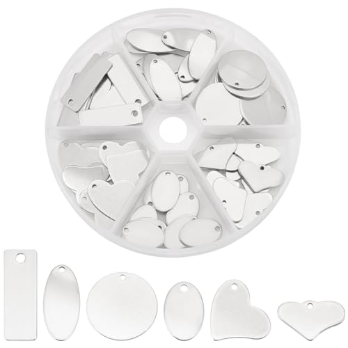 PH PandaHall 304 Stainless Steel Stamping Charms 60pcs 6 Style Blank Tags