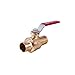 Legend Valve 101-044 Forged Brass Full Port Ball Valve, 2.5"x2"x1.3"