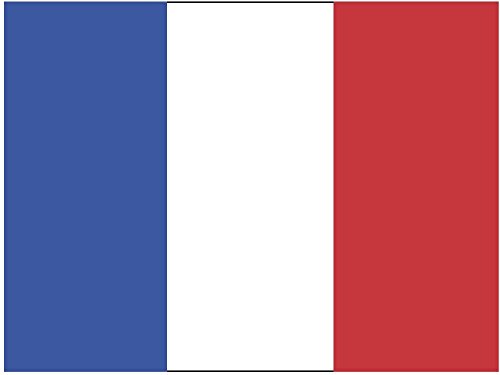 Artimagen Adesivo bandiera rettangolare Francia 80...