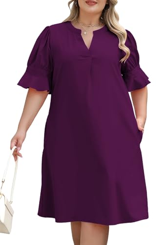 Celkuser Plus Size Summer Casual Shift Dress for Curvy Women V Neck Ruffled Short Sleeves Loose Shirt Dresses with Pockets (cel164,16,Purple)