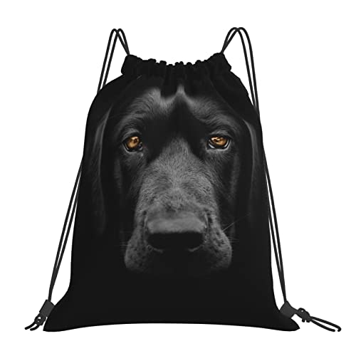 т̃uh[go[̊ ibvTbN WTbN X|[cobO v[obO ̑ e [֗ y  W  Lv j Aj ObY G j̎q ̎q