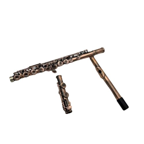 vdl̃t[g SҌ C bhuYt[g