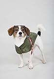 flight jacket xxl  Die Alpha Hundejacke ist ein toller Begleiter für unsere Vierbeiner damit ihnen warm und kuschelig ist wenn es draussen bei den Spaziergängen zu kalt ist . 