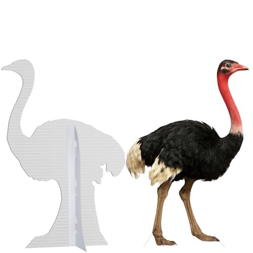 Image of Ostrich 4FT Life Size Cardboard Cutout, Standup, 1 PC, for Events | Ostrich Cardboard Cutout for Birthday Parties, Photo Backdrops, Party Decor, Animal Standup for Celebrations & Events