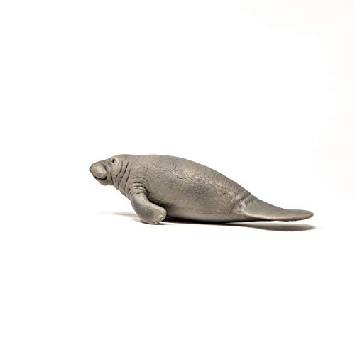 Schleich 14839 Wild Life Manatee – Bild 4