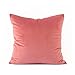 Sweatpants 5 kolorów dostępna miękka aksamitna poszewka na poduszkę poszewka na poduszkę koral zakurzony różowy róż miętowy niebieski narzuta kompatybilna z sofą (kolor: Koralowy, rozmiar: 30 x 50 cm)