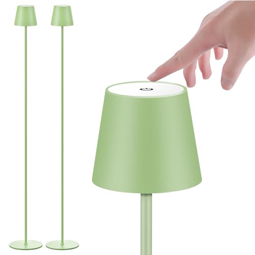 Cordless floor lamp