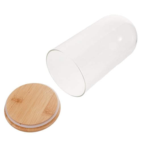 SHINEOFI Cloche en Verre Décorative 10X20 CM avec Socle en Bambou Dôme Vitrine Anti-Poussière Transparent pour Fleurs Éternelles Figurines et Objets...