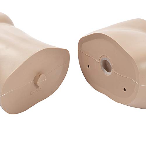 Amazon.co.jp: [ダイセイ] マネキン 全身マネキン レディース 168㎝ [9