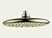 Delta RP52382 Single-Setting Shower Head