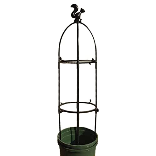 |AgX AT|[g ^[IxXNK[fgX ApgXی^IxXN y ACAIxXN AgX 鐫Ap K[fgX ^[IxXN DIY  | ؉  o co ΂ KN