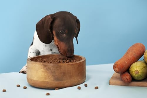 Canina Magen Balance, 250 g