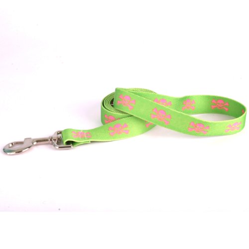 Image of Yellow Dog Design Standard Lead, Green /Pink Skulls 1 inch x 60 inch (5 ft.)