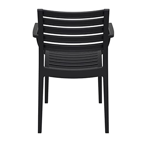 Compamia Artemis Outdoor Patio Dining Arm Chair In Black (Set Of 2) #TOP4