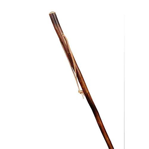 Stock-Fachmann Bâton de randonnée marche Pèlerins étage ierer flammé Berger étage