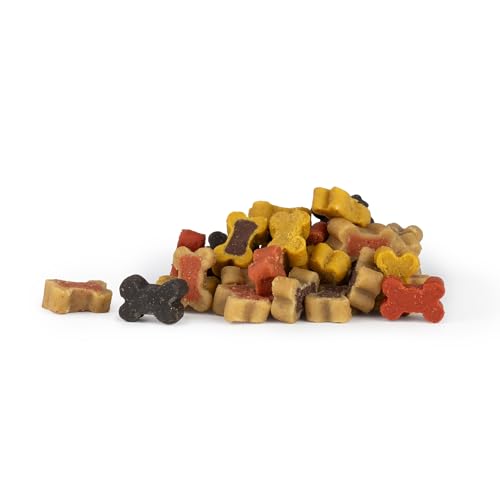 DIBO Mini-Leckerli-Mix 12 x 500g Eimer - wiederverschließbar - Hundesnack für Training und Belohnung, Hundefutter (Geflügel, Lamm, Pansen, Rind, Wild und Lachs)