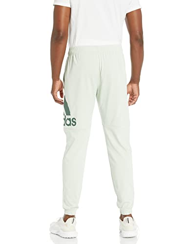 Adidas Men's Essentials Performance Logo Pants, Linen Green/Green Oxide, Medium #TOP1